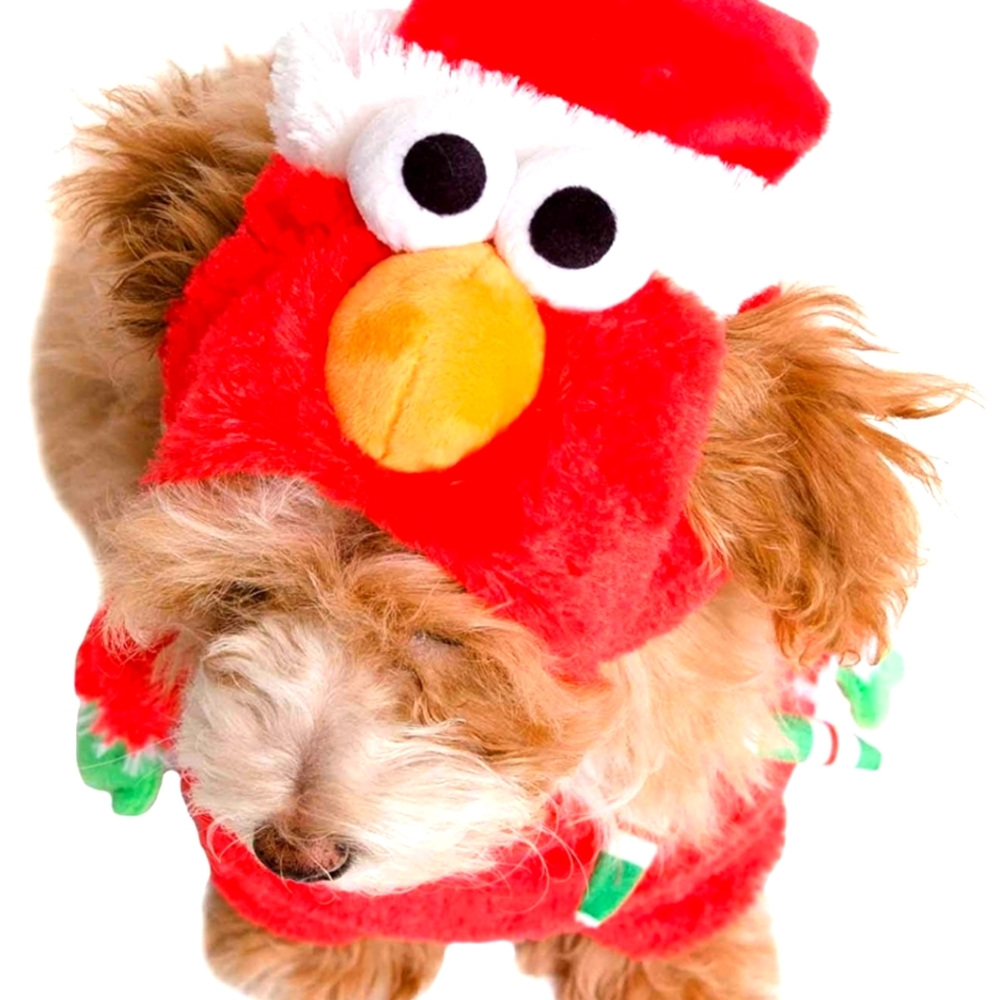 Elmo costume